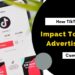 How TikTok Videos Impact Today's Advertising Campaign?