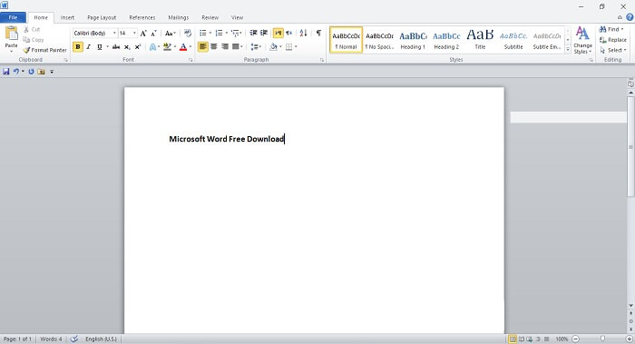 Microsoft Word Screenshot