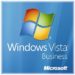 Windows Vista Business ISO Download